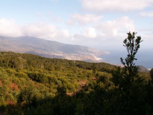 la-palma-038.jpg