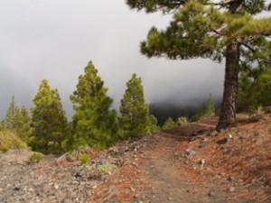 la-palma-062.jpg